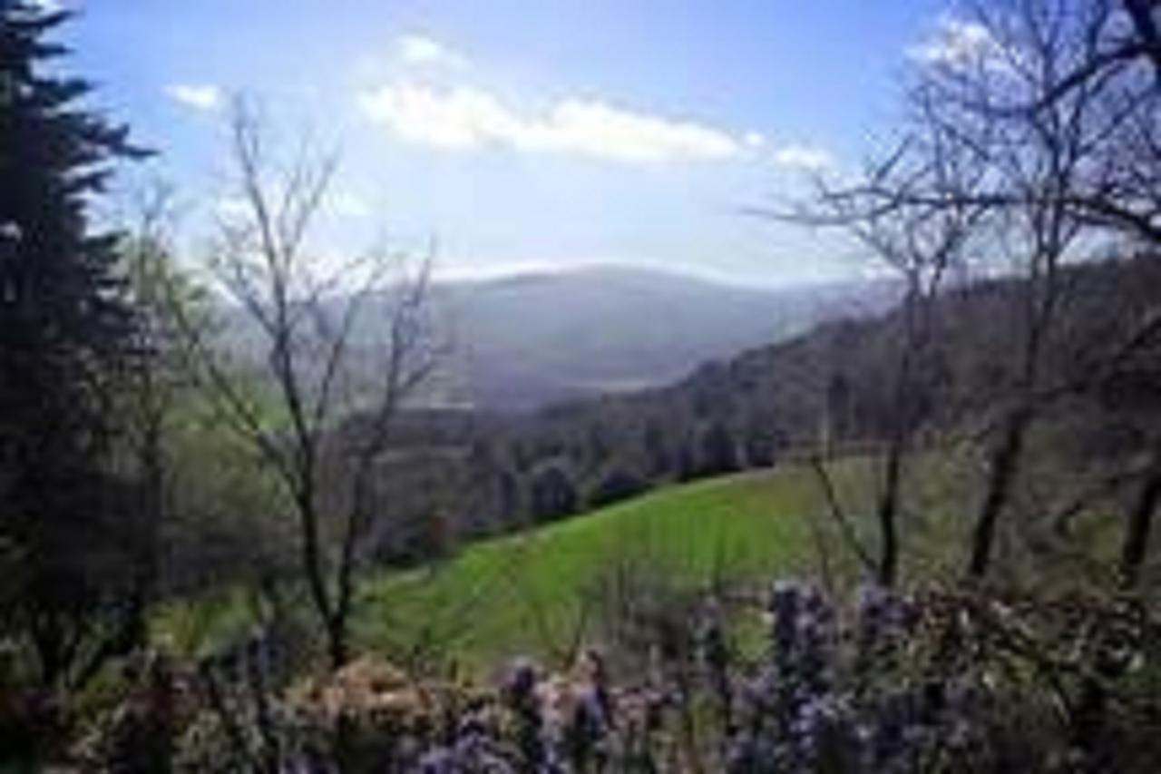 Podere Cerreto Casole dʼElsa Екстериор снимка